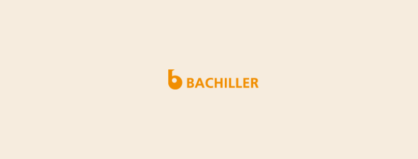 Creation of a website for Bachiller